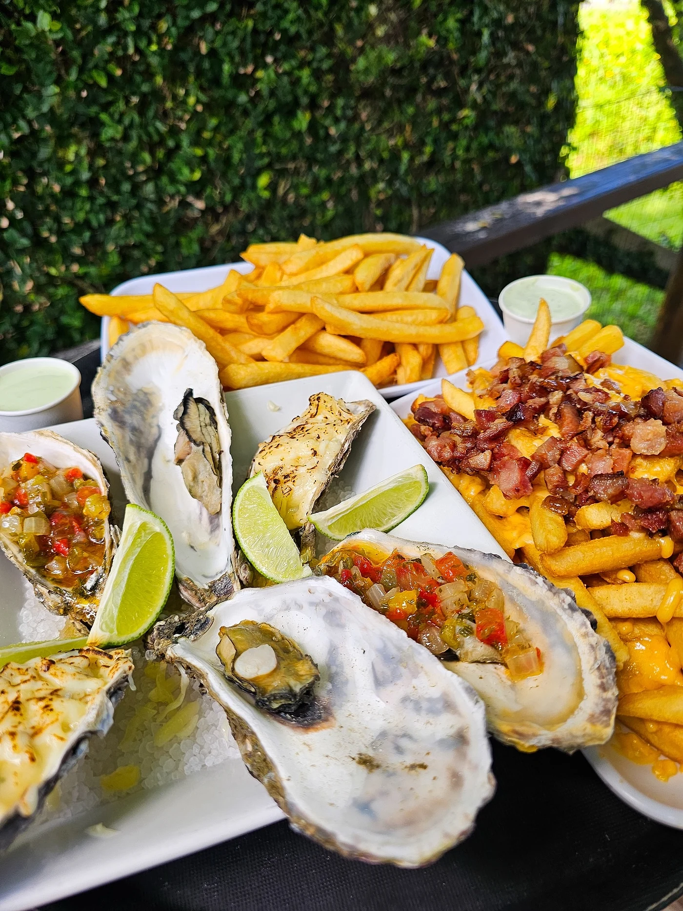 Ostras em Bombinhas: como comer, com o que beber e por que vale tentar